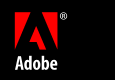 Download the Acrobat Reader 